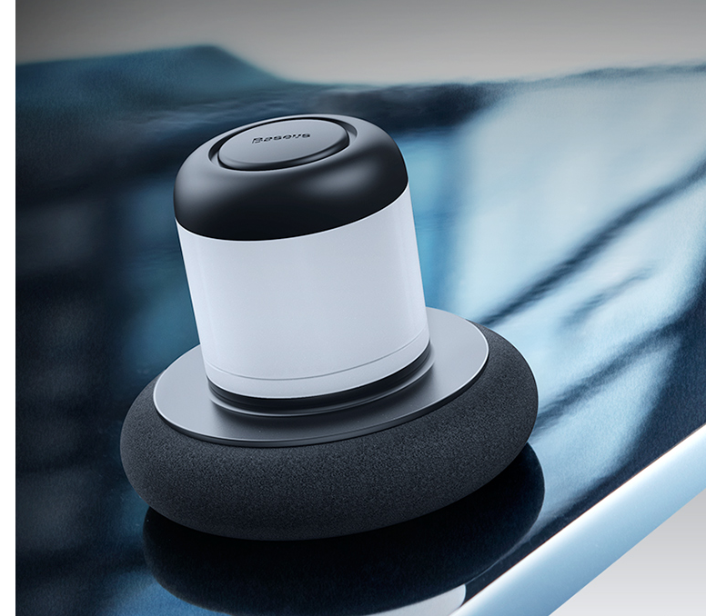 Vehicle buffing device