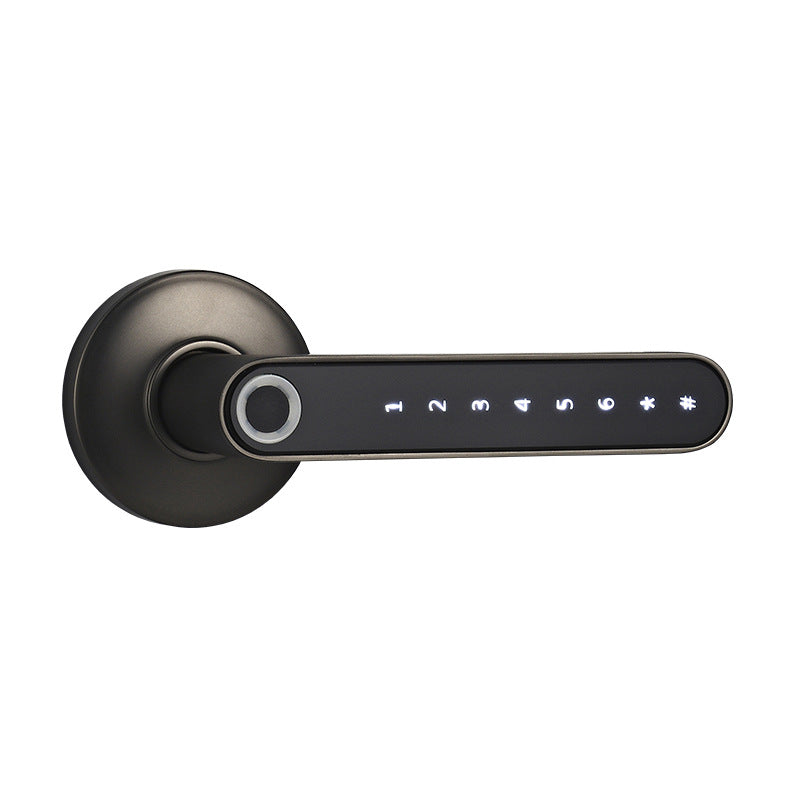 Intelligent Biometric Keyless Digital Door Lock Metal Secure Smart
