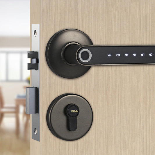 Intelligent Biometric Keyless Digital Door Lock  Metal Secure Smart